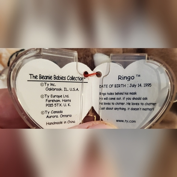 **retired** Ty Beanie Baby: Ringo the Raccoon - Picture 3 of 4